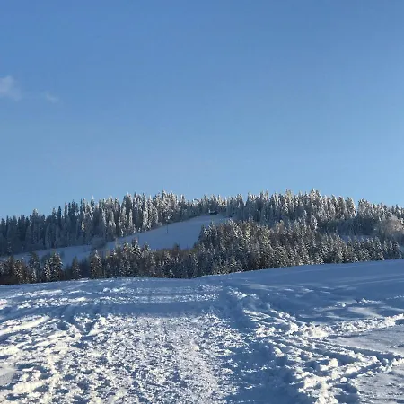 Dalia Apartman Rabka