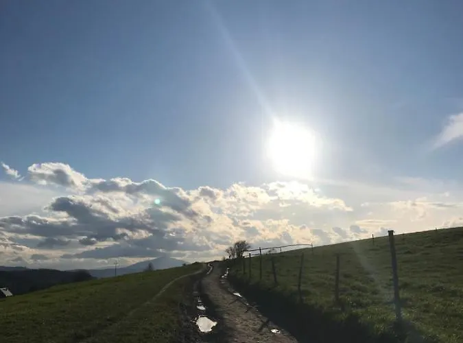 Appartamento Dalia *