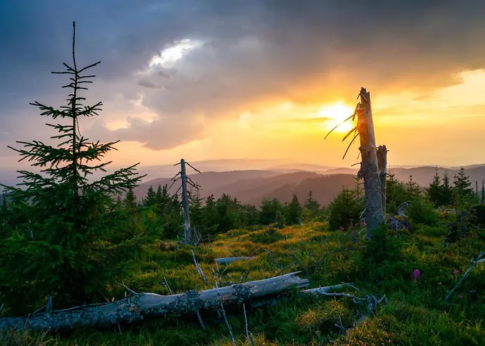 Dalia Appartamento Rabka-Zdrój