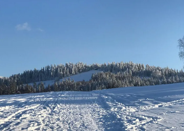 Dalia Appartamento Rabka-Zdrój